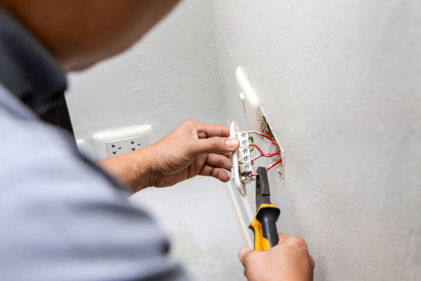 Best Electric Panel Repair  in Grain Valley, MO